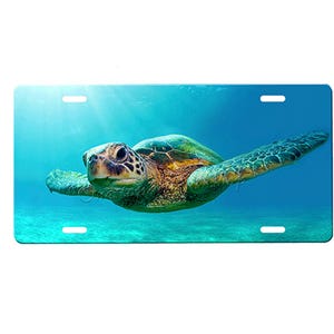 May include: A green sea turtle swims in blue water with sunlight shining through the surface. The turtle has a brown shell with green markings.