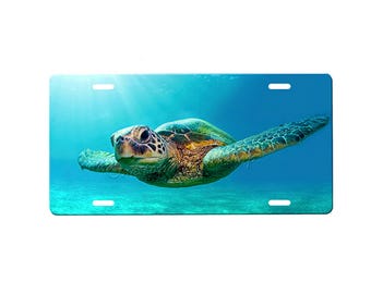May include: A green sea turtle swims in blue water with sunlight shining through the surface. The turtle has a brown shell with green markings.