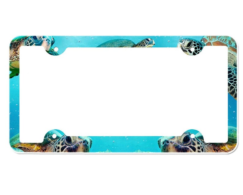Sea Turtle License Plate Frame Etsy