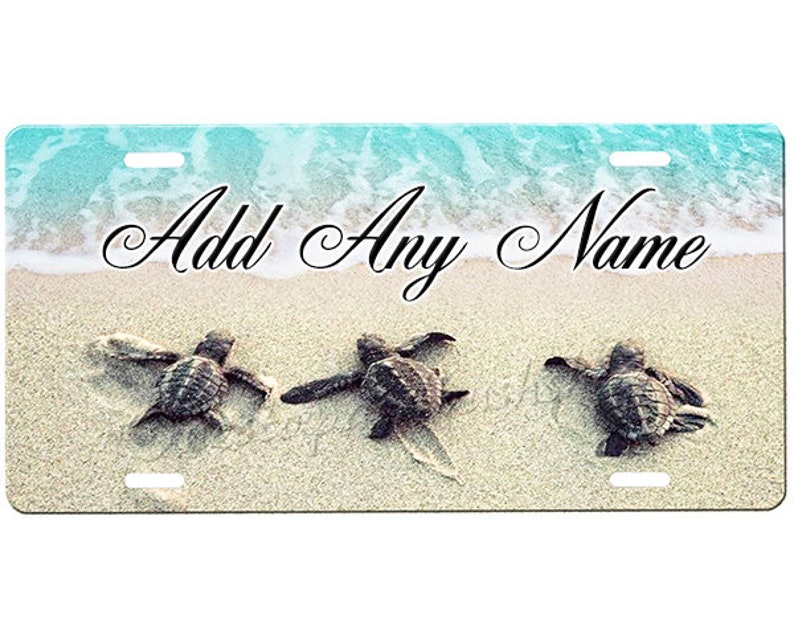Sea Turtles License Plate Etsy