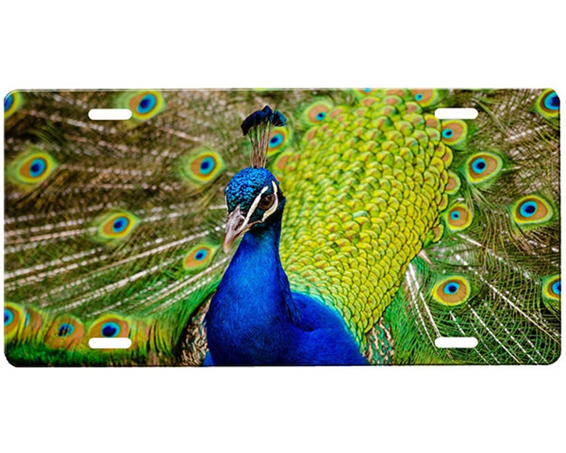 Peacock License Plate Etsy