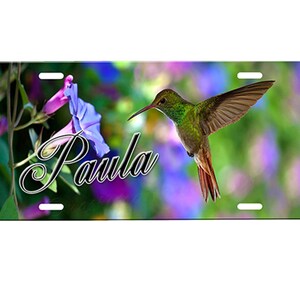 Hummingbird Personalized Front License Plate with Custom Background Options