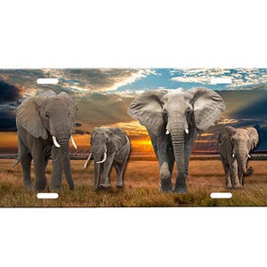Elephant Front License Plate with Custom Background Options