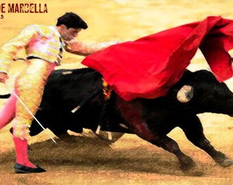 Plaza De Toros #27 Toreo Collection 12/" x 24/" Giclée Canvas Art Bullfighting