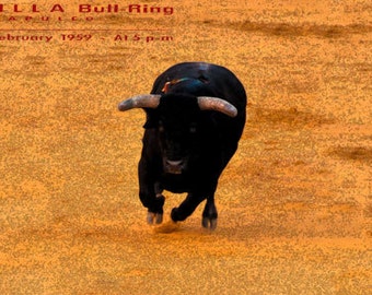 Bullfighting Toreo Collection 12/" x 24/" Giclée Canvas Art Plaza De Toros #26