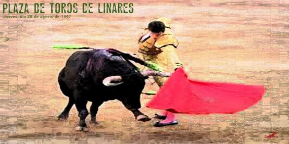Bullfighting Toreo Collection 12/" x 24/" Giclée Canvas Art Plaza De Toros #26