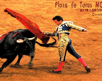 Bullfighting - Plaza De Toros #12 - Toreo Collection 12" x 24" Giclée Canvas Art