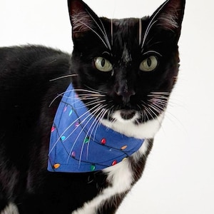 May include: A black and white cat wearing a blue triangular bandana featuring a pattern of colorful Christmas light bulbs connected by thin black lines. The cat has green eyes, long white whiskers, and a white patch of fur on its chest and neck.