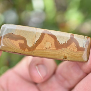 Wild Horse Jasper- &quot;Picasso&#39;s Mountains&quot;