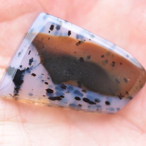Brown and Black Montana Agate