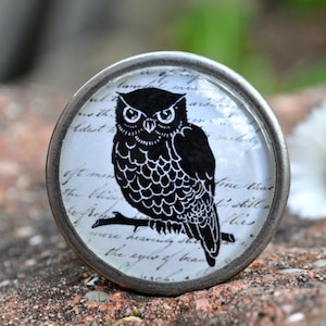 Könnte beinhalten: Ein silberner Knopf mit einer schwarzen und weißen Eulenillustration auf weißem Hintergrund mit schwarzem Schrifttext. Der Knopf ist rund und hat eine Glasoberfläche.