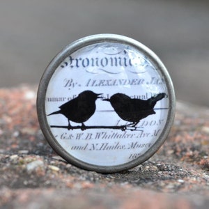 Könnte beinhalten: Ein silberner Knopf mit einer Glasoberfläche, die ein Schwarzweißbild von zwei Vögeln zeigt, die auf einem Draht sitzen. Der Hintergrund ist ein weißes Papier mit schwarzem Text, der "stronom", "By. ALEXANDER JA", "DON", "G&W.B.Whittaker Ave M", "and N. Hailes, Muser", "18" lautet.