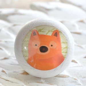 Könnte beinhalten: Runder weißer Knopf mit einer kreisförmigen Illustration eines orangefarbenen Fuchsgesichts in der Mitte. Der Fuchs hat eine braune Nase und schwarze Augen.