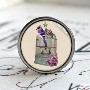 Könnte beinhalten: Ein silberner Knopf mit einer Glasoberfläche, die eine Vintage-Illustration eines Blauhähers zeigt, der in einem Vogelkäfig mit violetten Blumen sitzt.