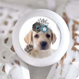 Könnte beinhalten: Weißer Keramik-Knopf mit einem runden Bild eines gelben Labrador-Welpen, der ein blaues und graues Blumenband trägt. Der Welpe schaut in die Kamera und hat seine Pfote erhoben.