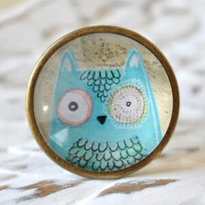 Könnte beinhalten: Runder, dekorativer Schrankknopf mit einem skurrilen Eulen-Design. Die Eule hat einen türkisfarbenen Körper mit weißen, rosa und schwarzen Details. Der Knopf ist von einer klaren Glaskuppel umschlossen und in einer bronzefarbenen Metallbasis gefasst.