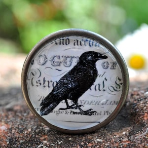 Könnte beinhalten: Ein runder Knopf im antiken Stil mit einer Illustration eines schwarzen Raben. Der Rabe ist vor einem Hintergrund aus Vintage-Papier mit verblasstem Text platziert. Der Knopf hat einen metallischen, bronzefarbenen Rand.