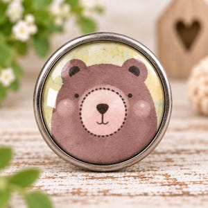 Möbelknopf Bär, Metall mit Glaseinsatz, 3,3 cm für Kinderzimmer