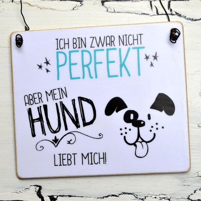 Schild BIN NICHT PERFEKT aber mein HUND LIEBT MICH Etsy.de