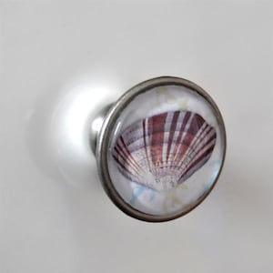 Könnte beinhalten: Ein silberner Knopf mit einer durchsichtigen Glasoberfläche, die ein Muschelmotiv zeigt. Die Muschel ist hellrosa und weiß mit braunen Streifen.