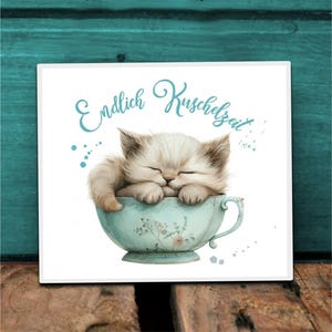 Könnte beinhalten: Ein weißes Kätzchen mit geschlossenen Augen schläft in einer blauen und weißen Teetasse. Der Text "Endlich Kuschelzeit" ist in blauer Kursivschrift über dem Kätzchen geschrieben.