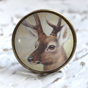 Könnte beinhalten: Ein runder, bronzefarbener Knopf mit einem Glaseinsatz, der ein Nahaufnahmebild eines Hirschkopfes mit Geweih zeigt.