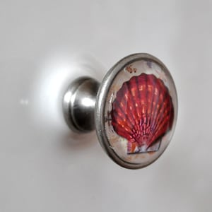 Könnte beinhalten: Ein silberner Schrankknopf mit einem roten Muschelmotiv. Die Muschel ist von einer durchsichtigen Glaskuppel umgeben.