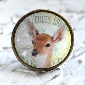 Könnte beinhalten: Ein runder, bronzefarbener Schrankknopf mit einem Glaseinsatz, der ein Nahaufnahmebild eines Rehs mit dem Text "Perles Liquide" in einer Vintage-Schrift zeigt.