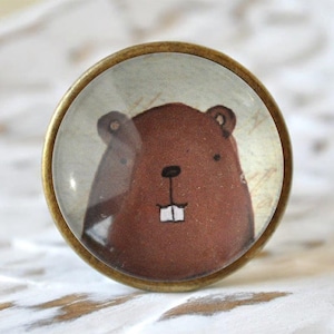 Könnte beinhalten: Ein runder, messingfarbener Knopf mit einem Glaseinsatz, der eine Cartoon-Illustration eines braunen Bibers mit einem zahnigen Grinsen zeigt.