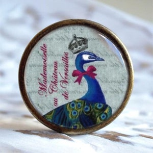 Könnte beinhalten: Ein runder, messingfarbener Knopf mit einem Glaseinsatz, der einen Pfau mit einer rosa Schleife zeigt. Der Glaseinsatz hat einen Hintergrund im Vintage-Stil mit dem Text "à Mademoiselle au Château de Versailles".