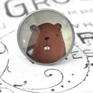 May include: A round, silver-colored pin with a glass dome featuring a cartoon illustration of a brown beaver with a toothy grin.