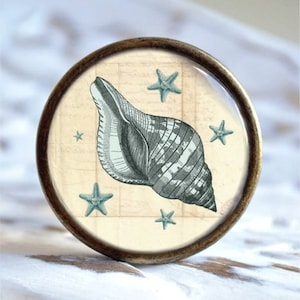 Könnte beinhalten: Ein runder, messingfarbener Knopf mit einem Glaseinsatz, der eine Vintage-Illustration einer Muschel und blauer Seesterne auf cremefarbenem Hintergrund zeigt.