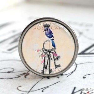 Könnte beinhalten: Ein silberner Knopf mit einem Blauhäher, der auf einem Schlüsselbund sitzt. Der Knopf hat ein Vintage-Postkarten-Design mit dem Text "POST CARD".