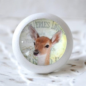 Könnte beinhalten: Weißer Holz-Knopf mit einem runden Glaseinsatz, der ein Vintage-Bild eines Rehs mit dem Text "Perles Liqu" in Französisch zeigt.