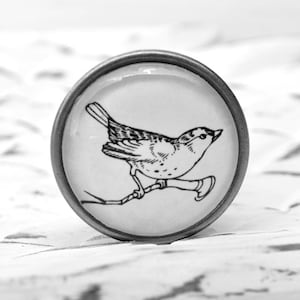 Könnte beinhalten: Eine Schwarzweißillustration eines Vogels, der auf einem Ast sitzt, gedruckt auf einer weißen runden Keramikfliese mit einem silbernen Metallrand.