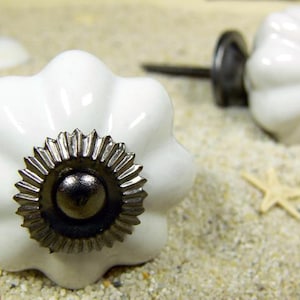 Könnte beinhalten: Zwei weiße Keramik-Schrankknöpfe mit blütenartigem Design und dunklem Metallsockel. Ein Knopf ist fokussiert, während der andere im Hintergrund leicht verschwommen ist. Ein Seestern und Sand befinden sich im Hintergrund.