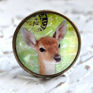 Könnte beinhalten: Ein runder, bronzefarbener Knopf mit einem Glaseinsatz, der ein Nahaufnahmebild eines Rehs auf einem grün-weißen Hintergrund zeigt.