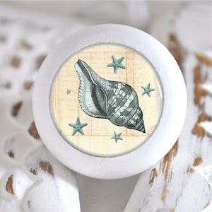 Könnte beinhalten: Weißer Keramik-Knopf mit einem runden, klaren Glaseinsatz, der eine Vintage-Illustration einer Muschel und fünf blauer Seesterne auf beigefarbenem Hintergrund zeigt.