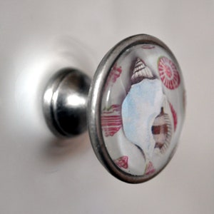 Könnte beinhalten: Ein silberner Knauf mit einer durchsichtigen Glasoberfläche, die mit einem bunten Muschelmotiv verziert ist. Die Muscheln sind rosa, rot und weiß.