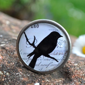 Könnte beinhalten: Ein runder silberfarbener Knopf mit einer schwarzen Silhouette eines Vogels, der auf einem Ast sitzt. Der Knopf hat einen weißen Hintergrund mit schwarzem Text, der "260" und "IMMATRIC." lautet.