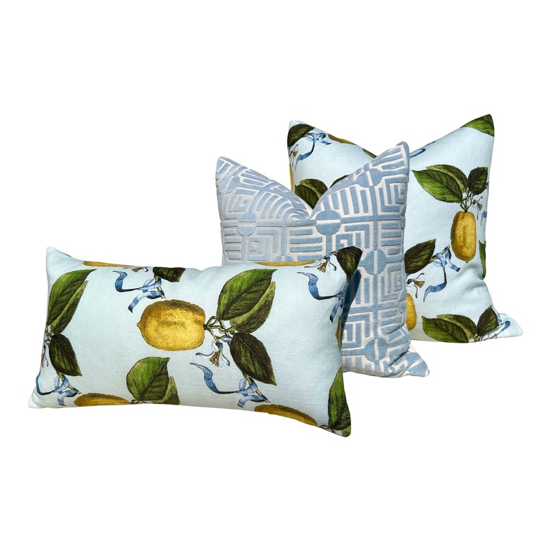 May include: Three decorative throw pillows. The pillows feature a light blue background with a lemon and leaf pattern. One pillow has a geometric design. The lemons are yellow, and the leaves are green. The pillows are a mix of rectangular and square shapes.