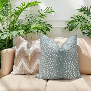 May include: Two decorative throw pillows on a beige couch. The pillow on the left is a light brown with a white chevron pattern. The pillow on the right is a light blue with a white dot pattern.
