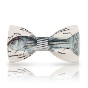 Fish Bow Tie- Fisherman Gift - White Bowtie -Casual Bowtie - Adjustable Bowtie