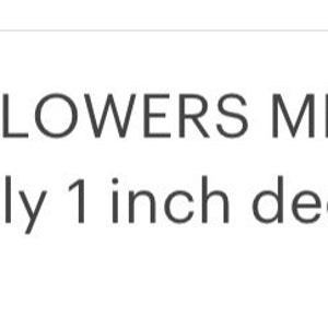 Op de afbeelding: Papieren bloemen sets, elke bloem meet 5 cm breed en ongeveer 2,5 cm diep.