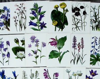 Rare Wildflower Cards Set of 23, Vintage Botanical Postcards, 1981, Wild Flower Art Print, Forest Plant Illustration, Healing Herb Drawing