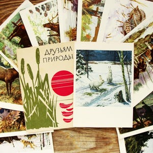 Wilde Tiergemälde, Vintage-Postkarten-Set von 12, 1962, Naturschutz, Szenen aus der Tierwelt, Geschenk für Tierliebhaber