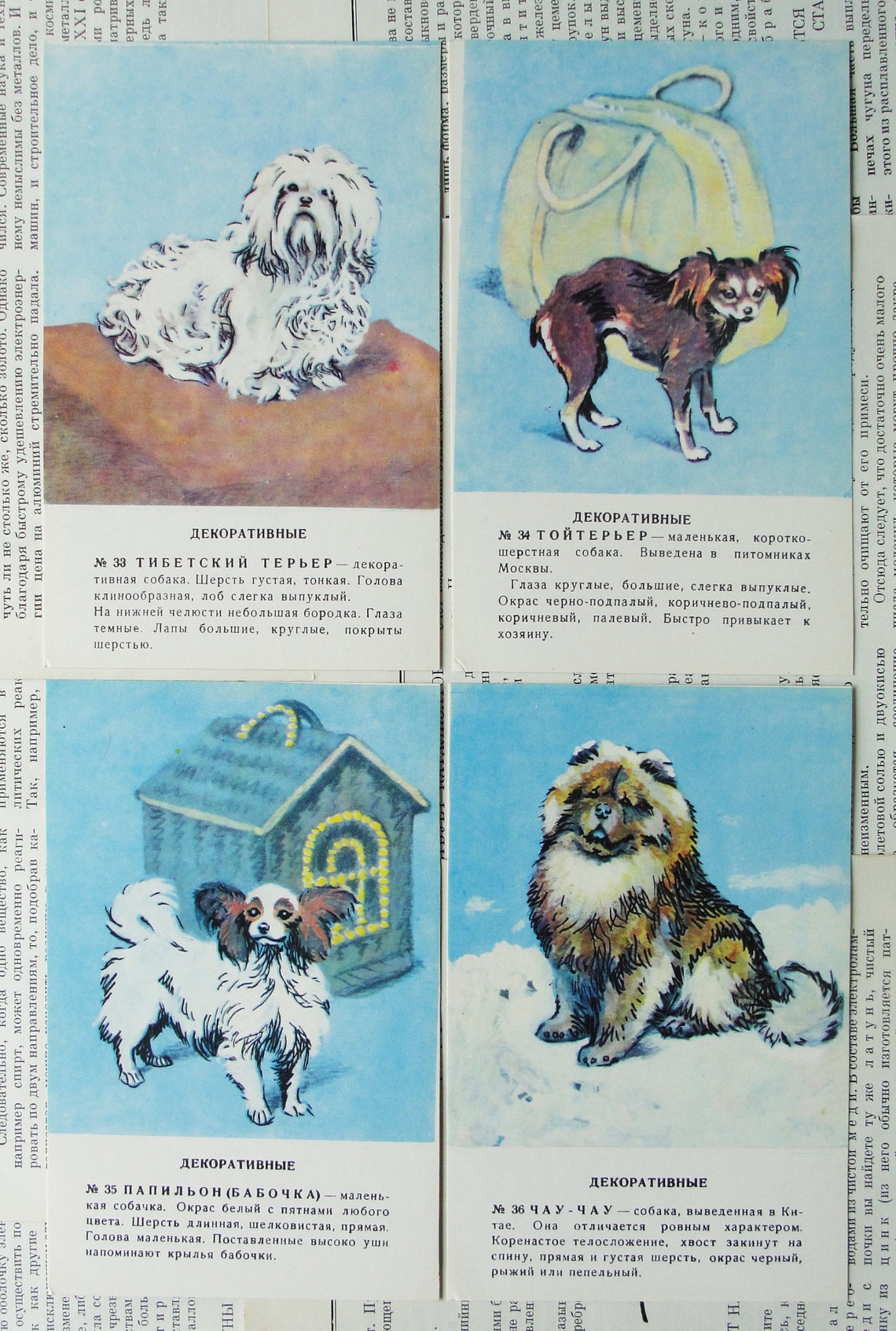 Dog Breeds Cards Set of 36 Vintage Dog Art Prints 1983 Etsy Ireland