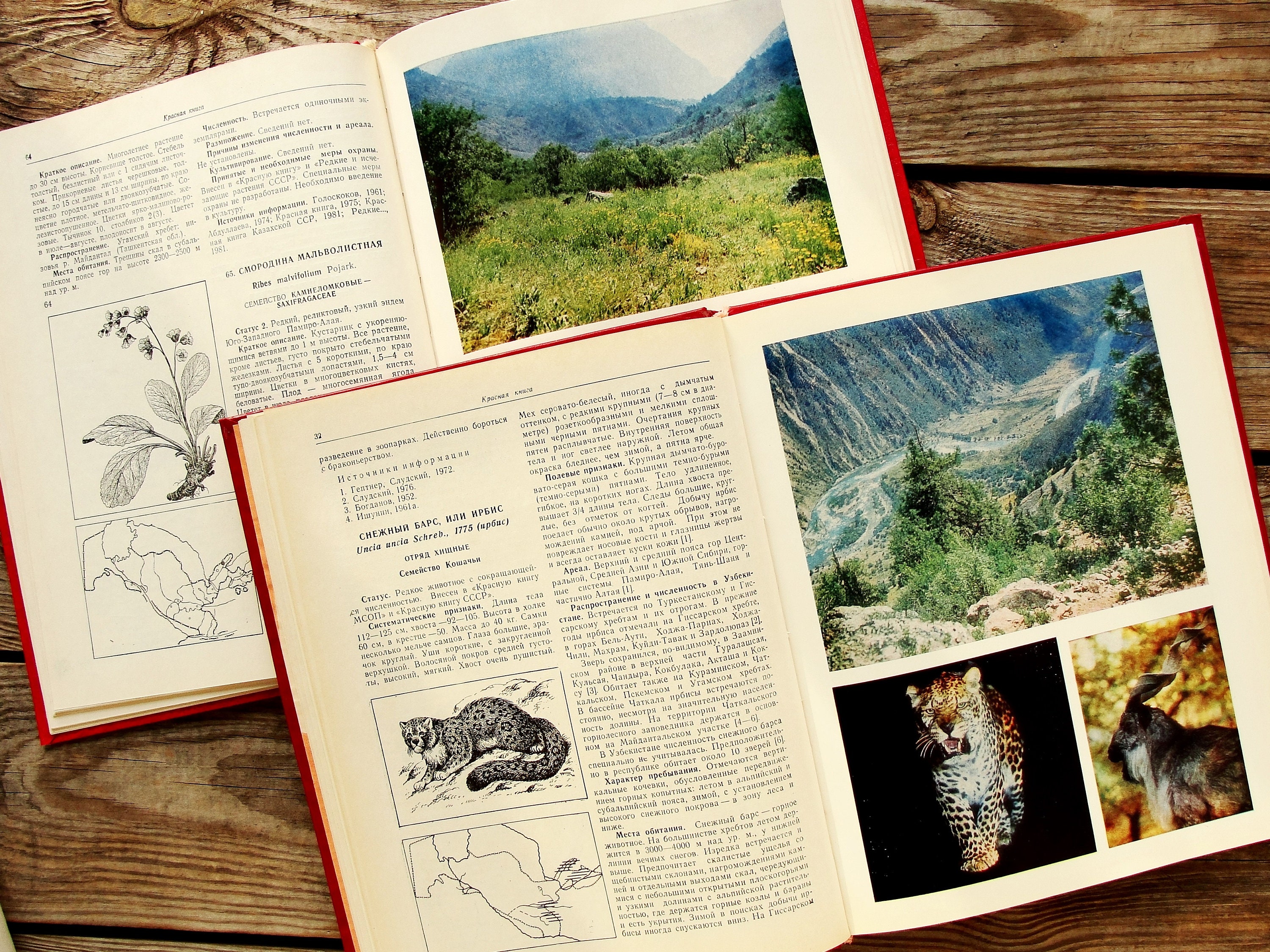 Red Data Book of Uzbekistan 2 Volumes Vintage Nature Book - Etsy Red Data Book of Uzbekistan 2 Volumes Vintage Nature Book - Etsy