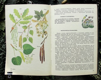 Vintage Botanisches Buch, 1985, Buch zum Lesen auf Botanik, Wild forest Field Plant Illustration, BaumStrauch Pilz Blume Seegras Kunstdruck