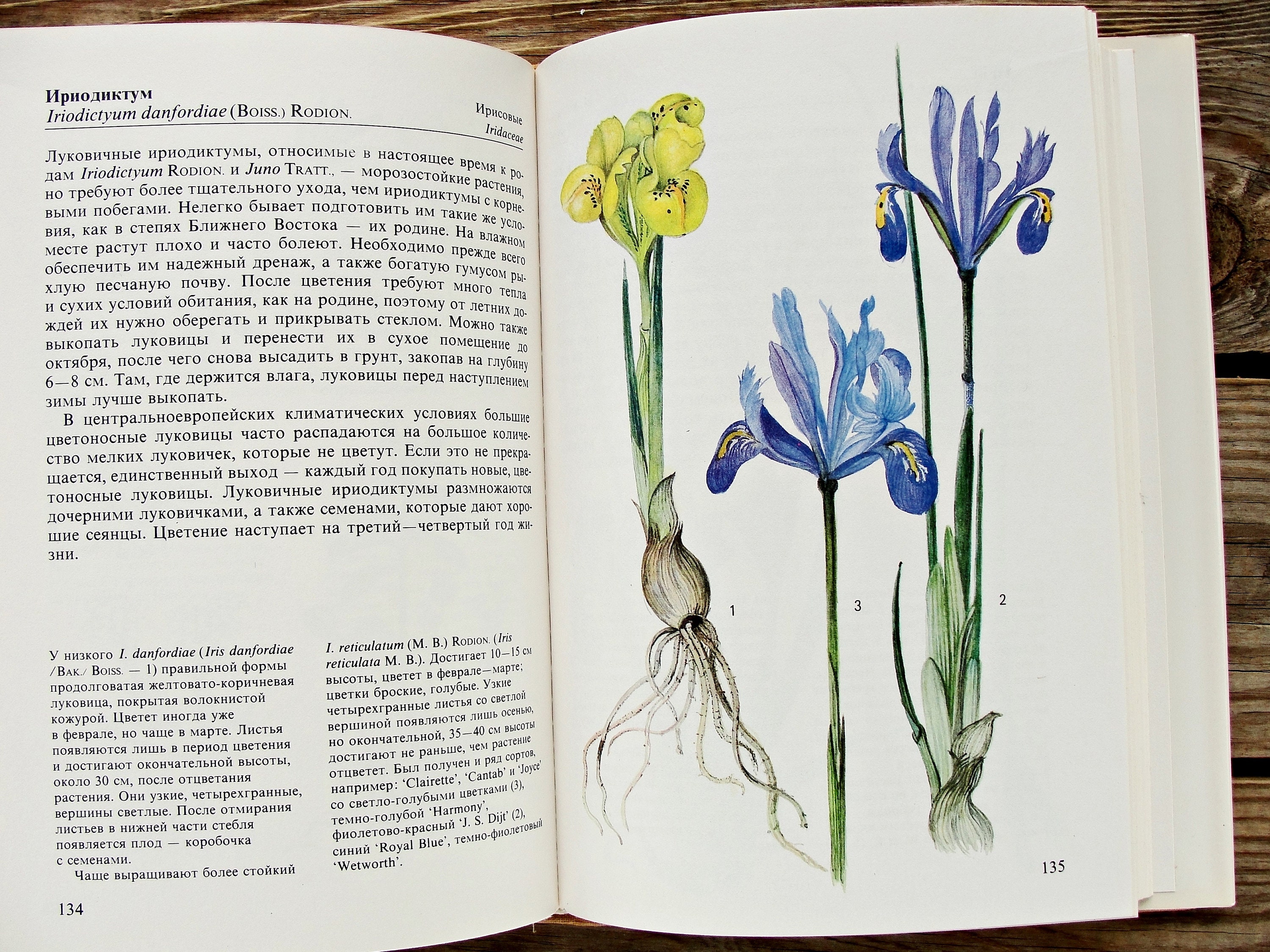 Garden Flower Book, Vintage Botanical Book, 1989, Alpine